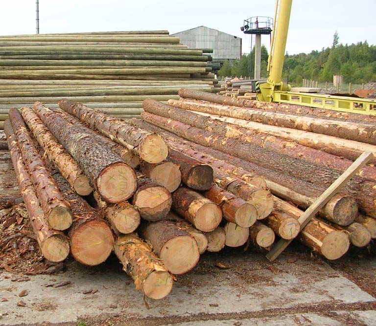 عمده ترین چوب های تولیدی در روسیه