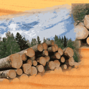قیمت چوب روسی امروز